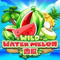 Wild Watermelon